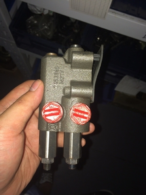 A10vg-serie A4vg180 A4vg90 A4vg45 A10V028 Hydraulische pomp voor zuigers van kruipkraan