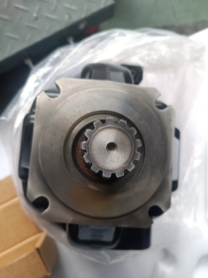 Hydraulische pomp Eéncilinder Carbon Steel Industrie