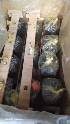 Eencilinder A10vg28 Hydraulische zuigerpomp voor graafmachines