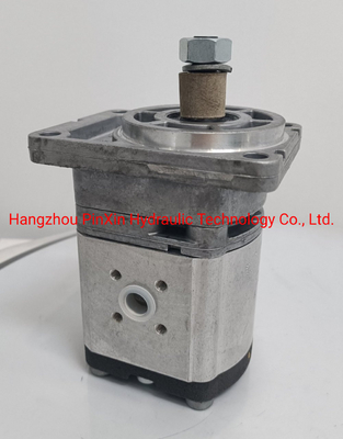 Aanpassing 0511645603 Azmf-11-019USA20ml tandwielpomp voor machines