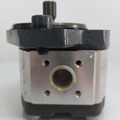 Het terugbetalingsbeleid ontbreekt Azpf-11-008rrr20kb-S0081 Gear Pump voor Rexroth Hydraulische Pomp