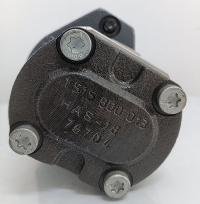 Het terugbetalingsbeleid ontbreekt Azpf-11-008rrr20kb-S0081 Gear Pump voor Rexroth Hydraulische Pomp