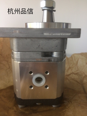 Interne aangesloten maasvorm Azmf-10-016USA20ml Hydraulische originele versnellingspomp onderdelen