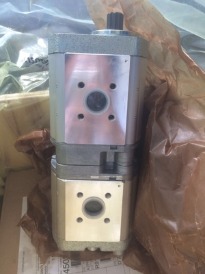 Gegote ijzeren hydraulische tandwielpomp Azpff-22-019/019LFP2020pb-S0925 met USD-betalingssteun
