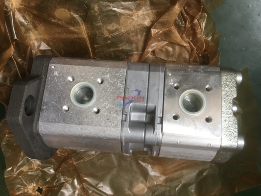 Gegote ijzeren hydraulische tandwielpomp Azpff-22-019/019LFP2020pb-S0925 met USD-betalingssteun