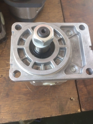 Gietijzer Hydraulische tandwielpomp Azpf-10-019rqrxxmb-S0140 voor veilige betalingen Made-in.com