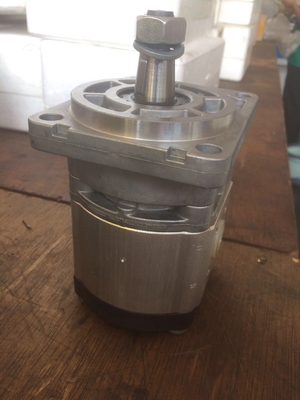 Gietijzer Hydraulische tandwielpomp Azpf-10-019rqrxxmb-S0140 voor veilige betalingen Made-in.com