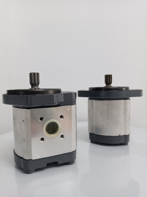 Involute Tand Curve Azpf-11-019rrr20kb-S0081 Versnellingspomp voor Rexroth Hydraulische Pomp