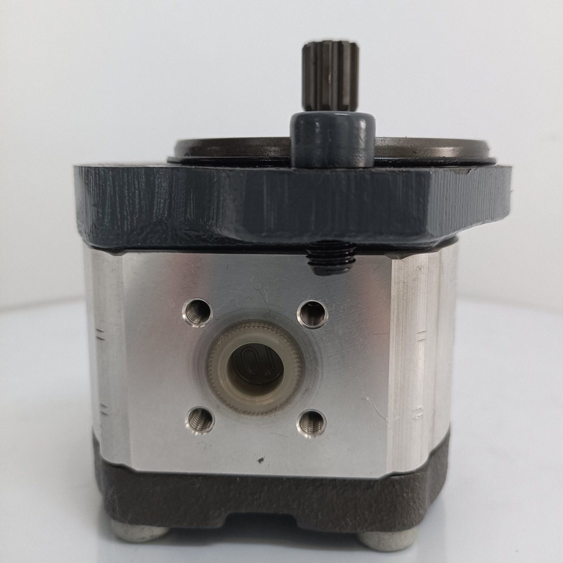 Het terugbetalingsbeleid ontbreekt Azpf-11-008rrr20kb-S0081 Gear Pump voor Rexroth Hydraulische Pomp