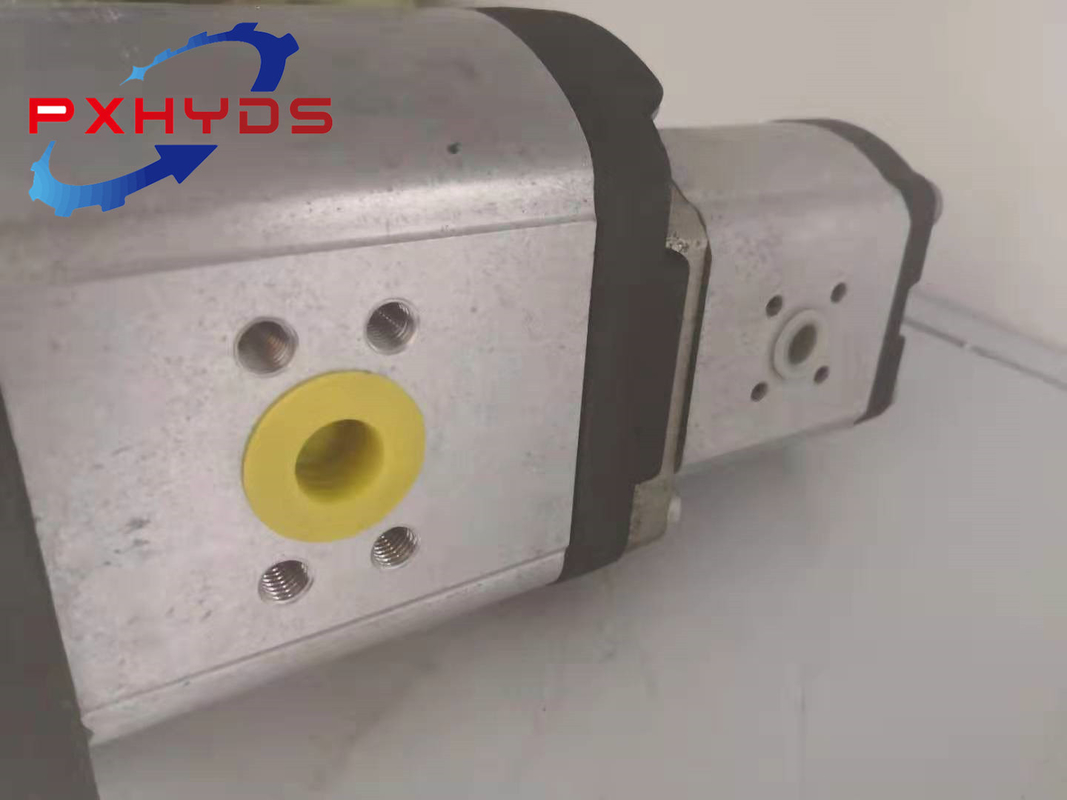 Hydraulische dubbele tandwiel oliepomp/dubbele pilootpomp/dubbele ladingpomp voor vrachtwagenkraan