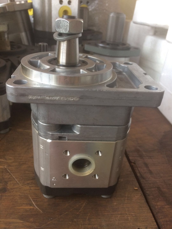Gietijzer Hydraulische tandwielpomp Azpf-10-019rqrxxmb-S0140 voor veilige betalingen Made-in.com
